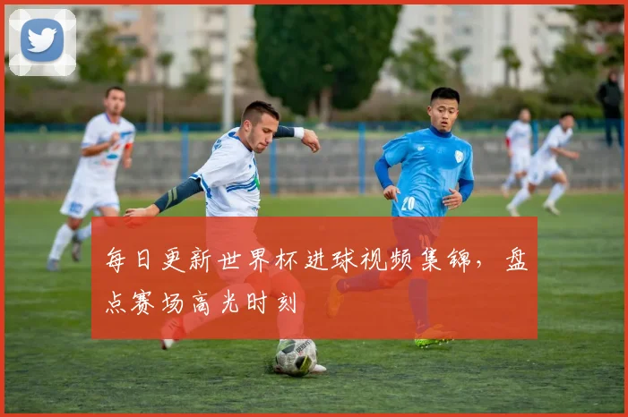 每日更新世界杯进球视频集锦,盘点赛场高光时刻